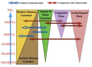 yaponesa Genome figure1