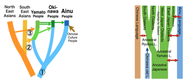 yaponesa Genome figure2